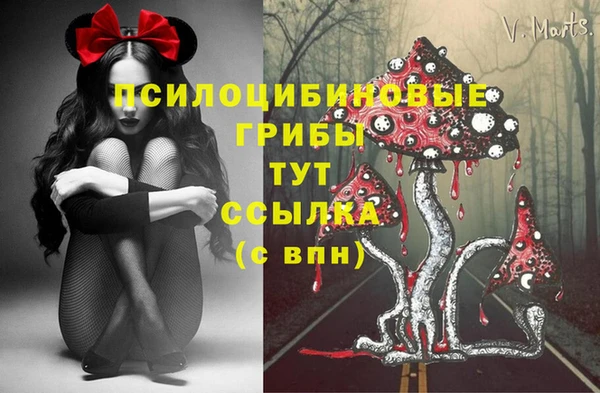 ECSTASY Армянск