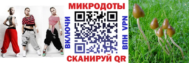 Галлюциногенные грибы MAGIC MUSHROOMS  где купить наркоту  ссылка на мегу tor  Нягань 